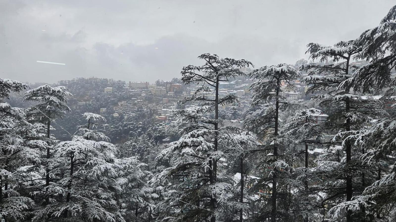 Mountain Zest- Simla Royale Near Mall Road Free Pickup From Railway Station Simla Buitenkant foto